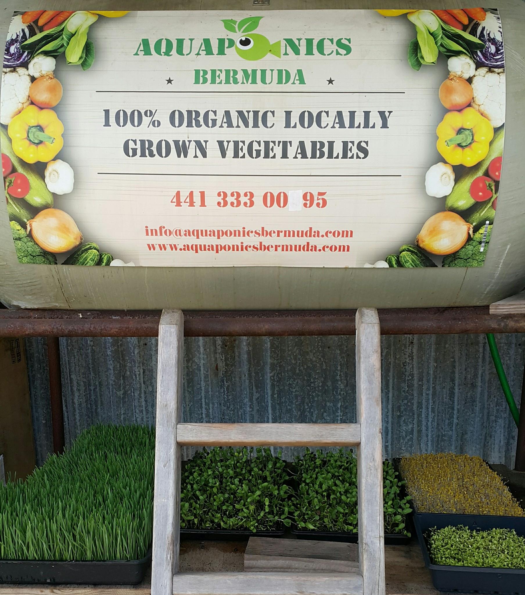 www.aquaponicsbermuda.com